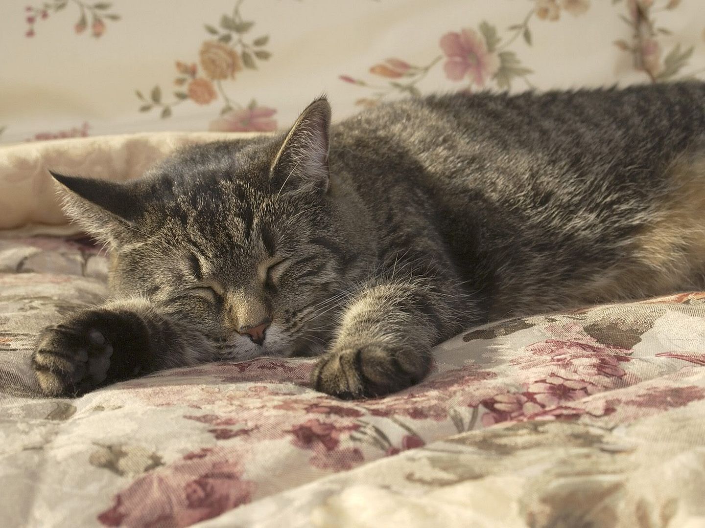 SleepingIn.jpg