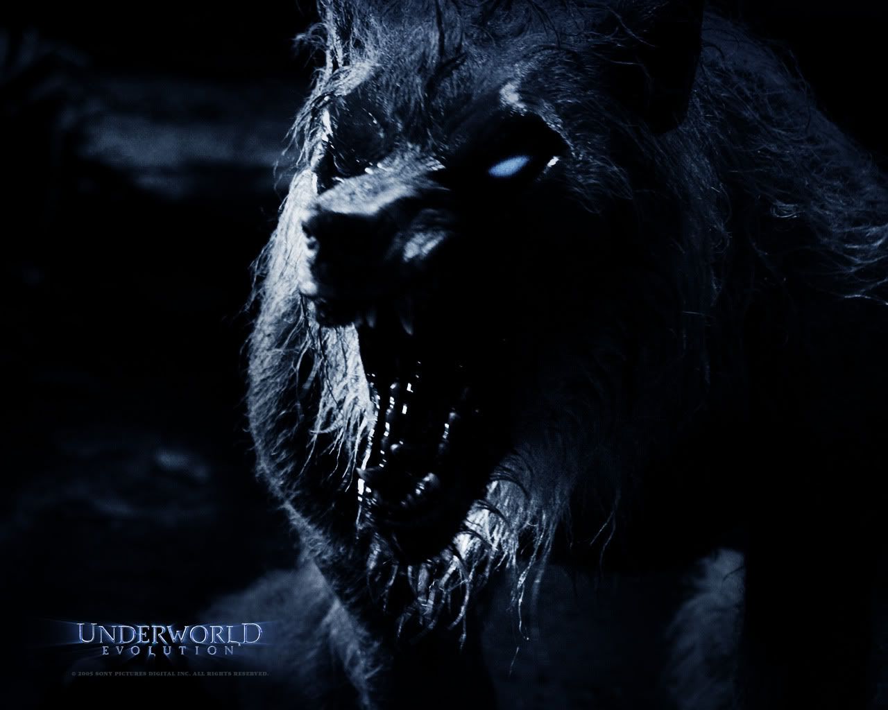 UNDERWORLD-EVOLUTION027.jpg
