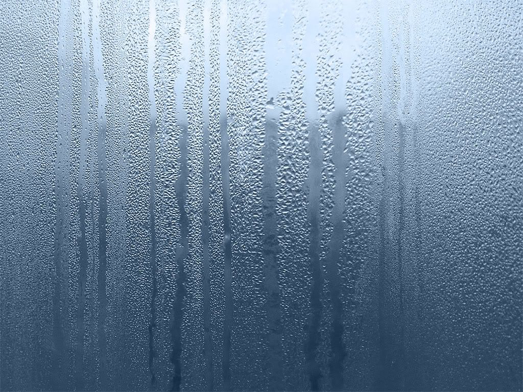 W20-6.jpg