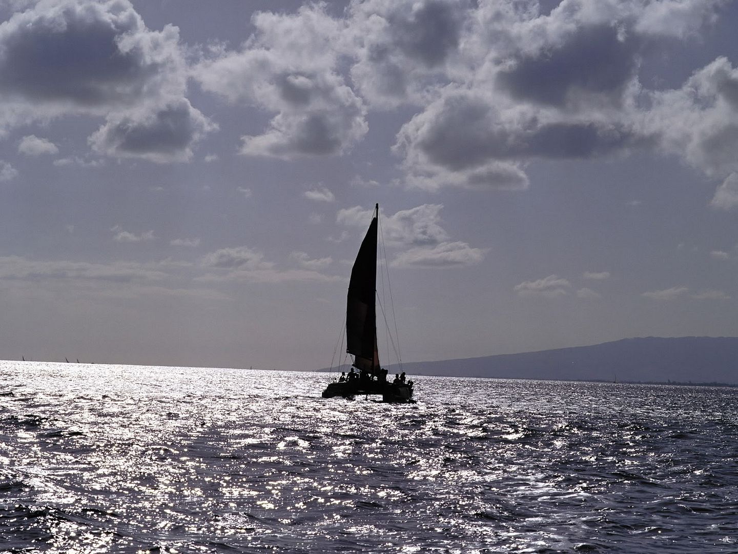 W45-6.jpg