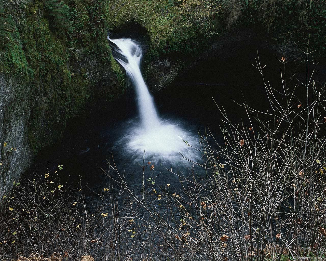 W67.jpg
