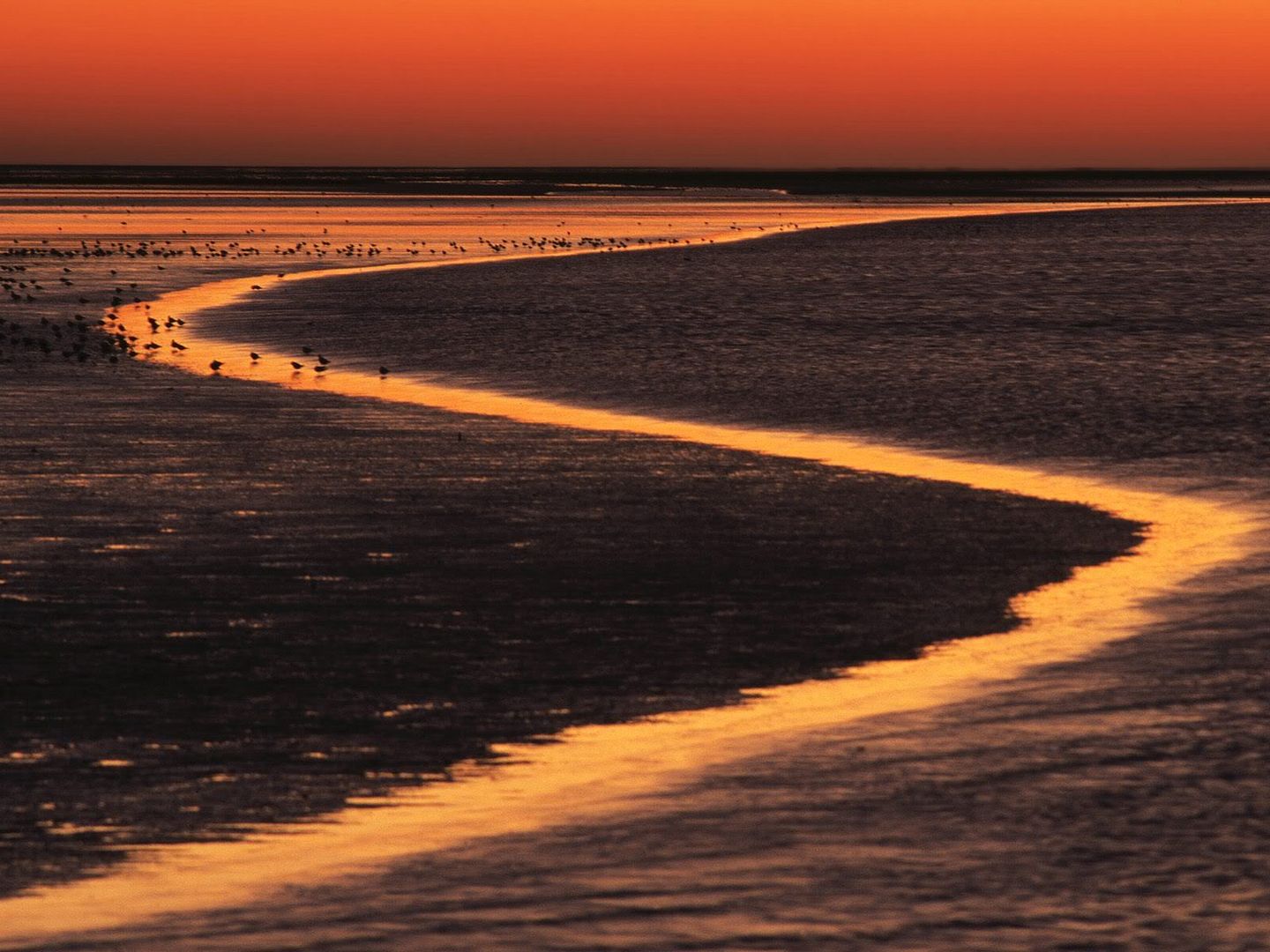 WaddenIslandEstuaryatSunsetTheNethe.jpg