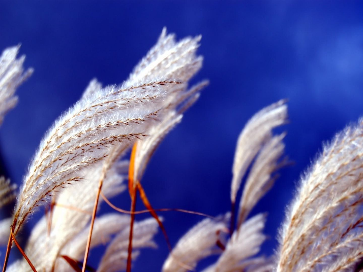 Wind_Touch_1600x1200.jpg