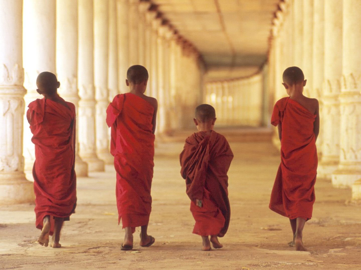 YoungBuddhistMonksCambodia.jpg