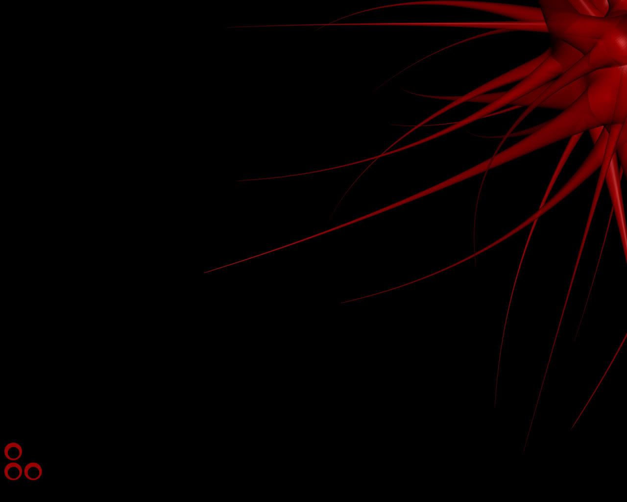 black_001.jpg