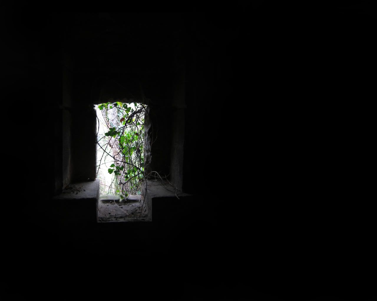 black_00114.jpg
