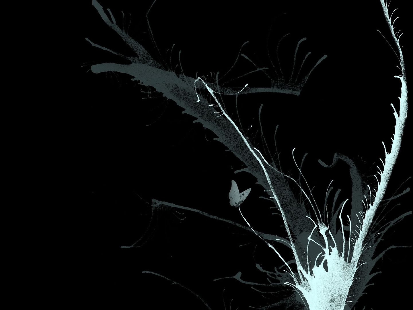 black_00121.jpg