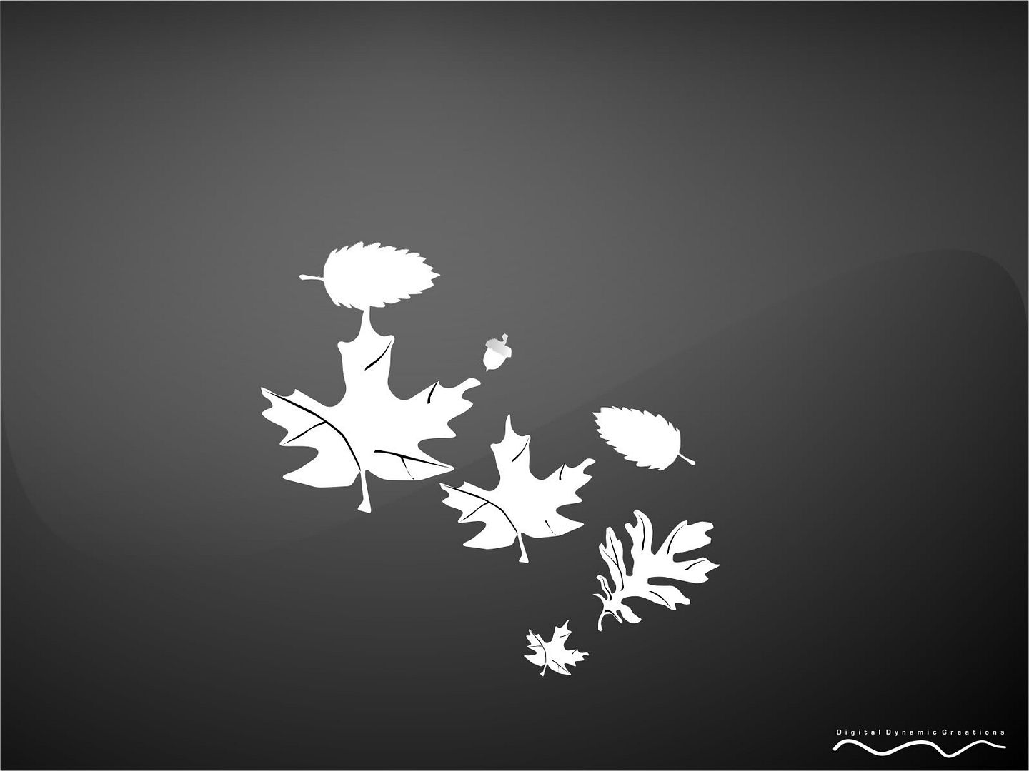 black_00124.jpg