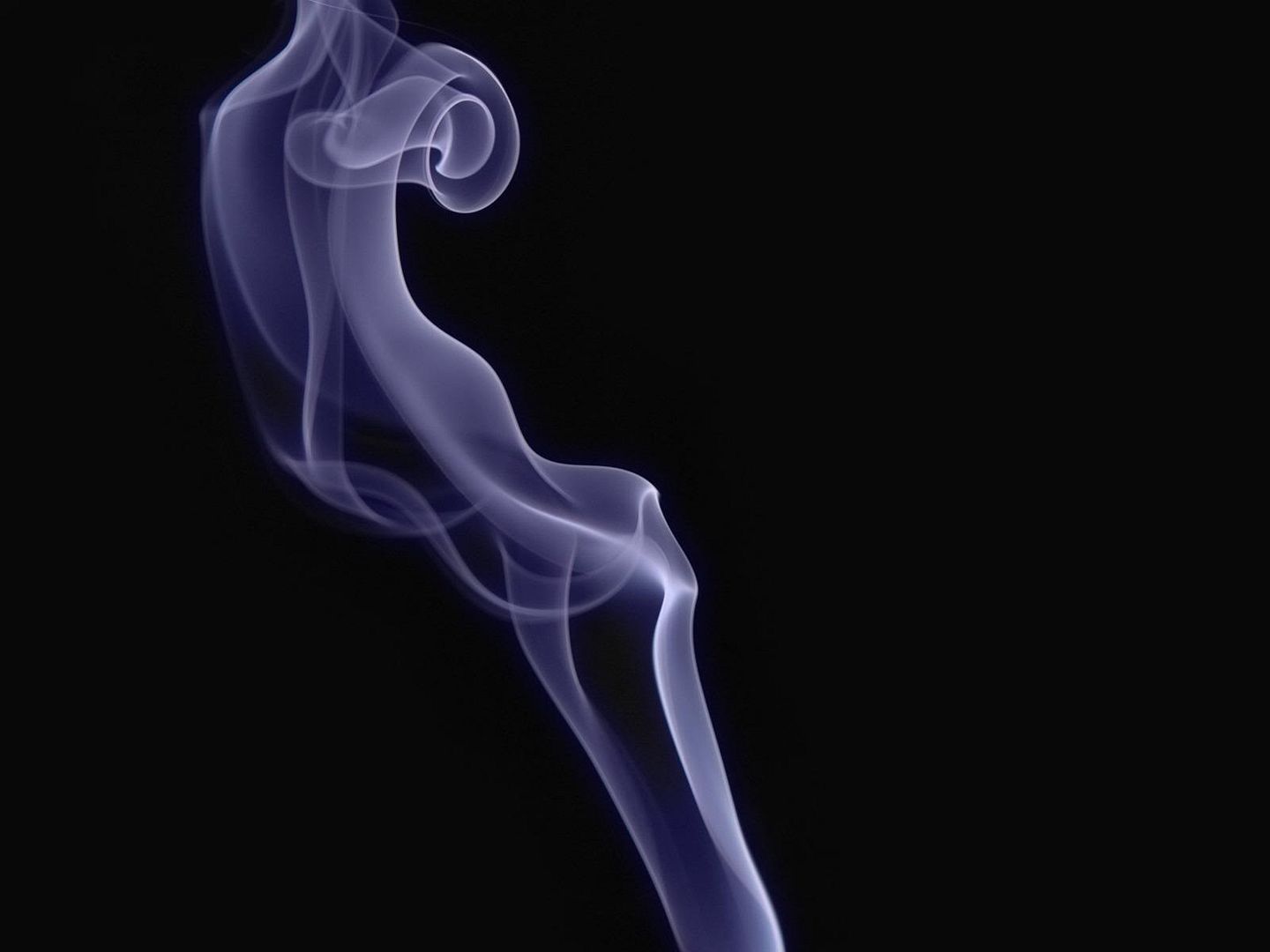 black_00126.jpg