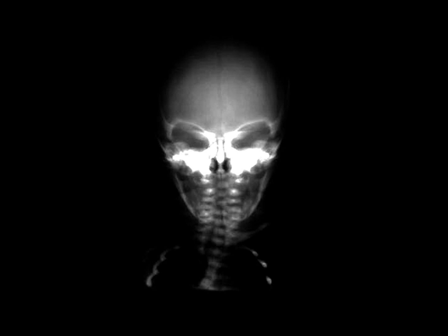 black_00144.jpg