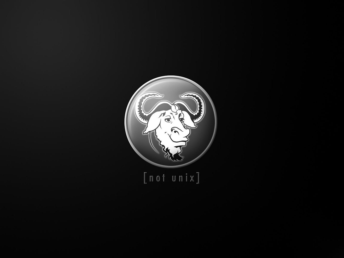 black_00146.jpg