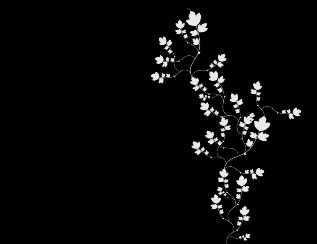 black_00173.jpg