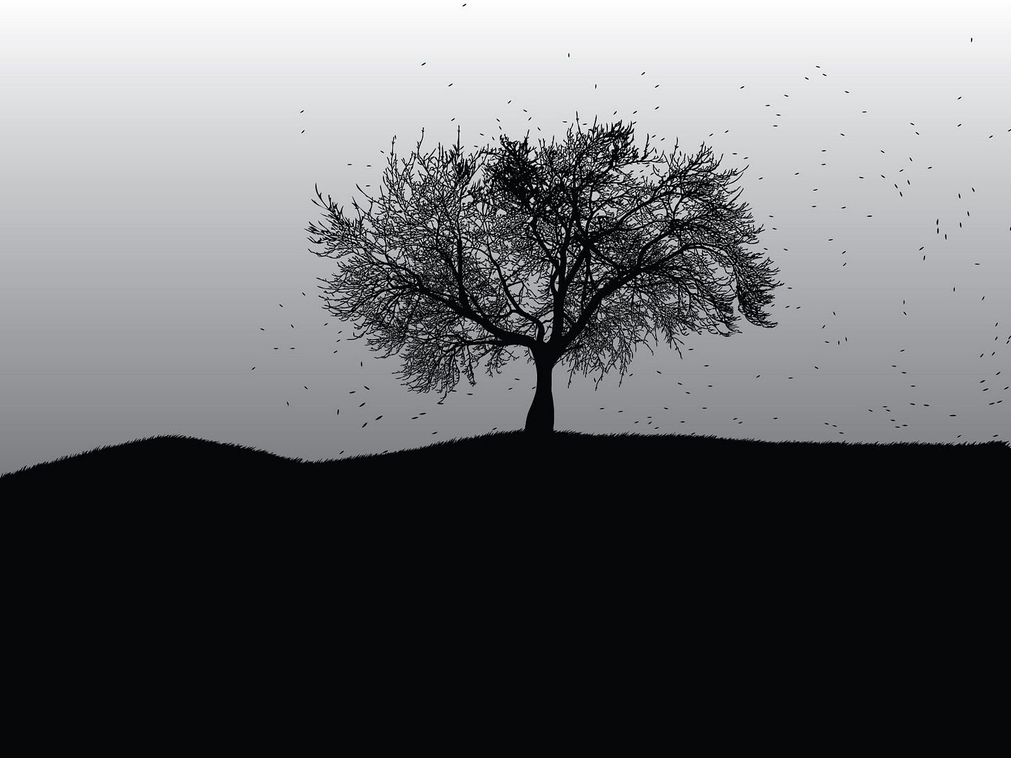 black_00178.jpg