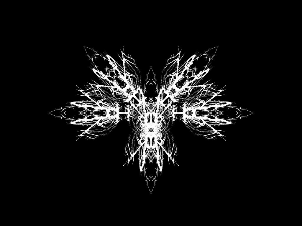 black_00187.jpg