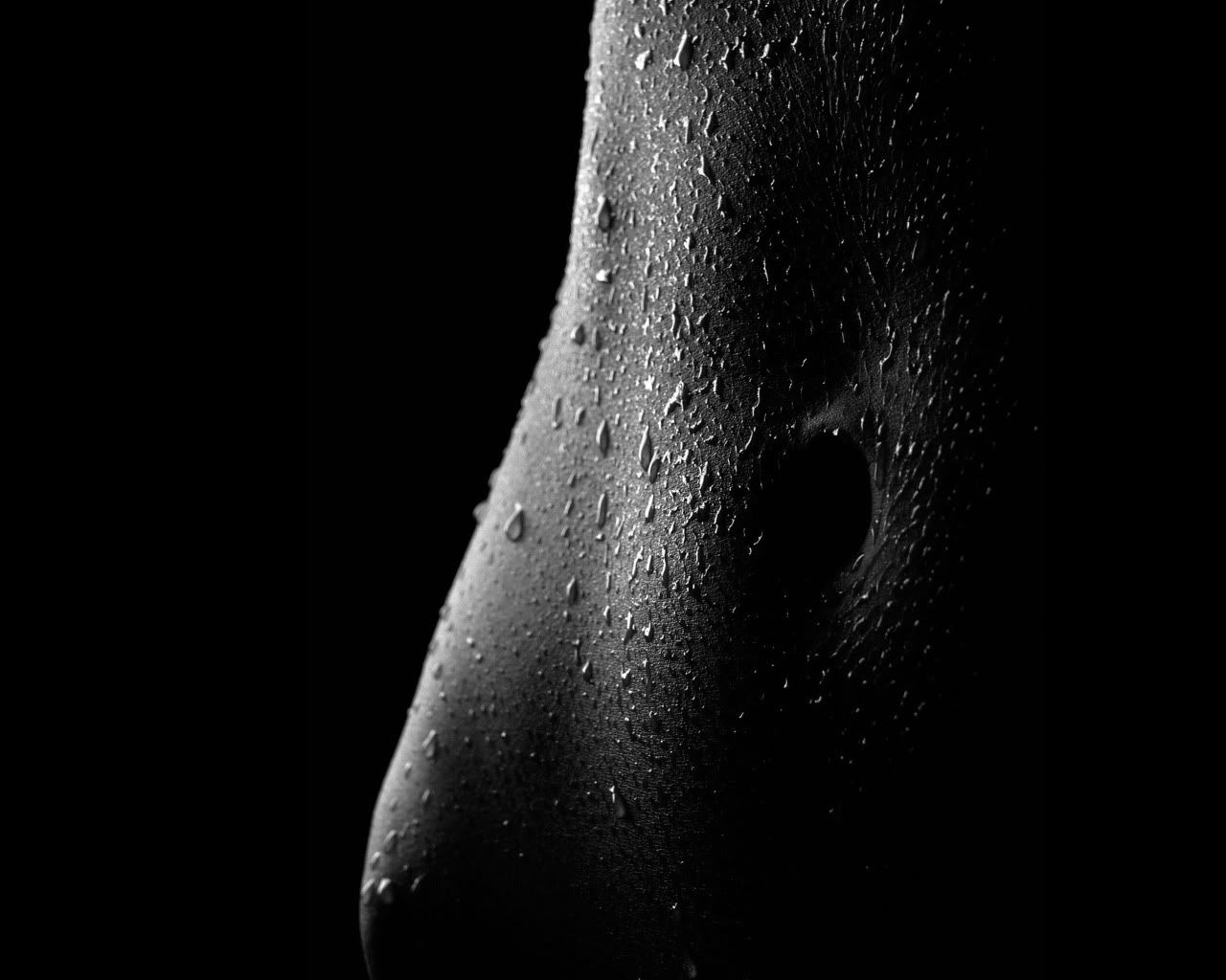 black_00192.jpg
