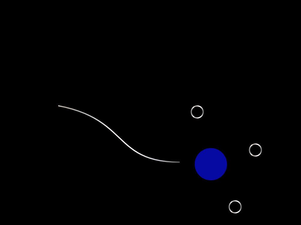 black_00193.jpg