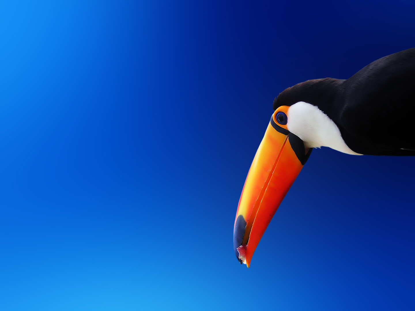 blue_182.png