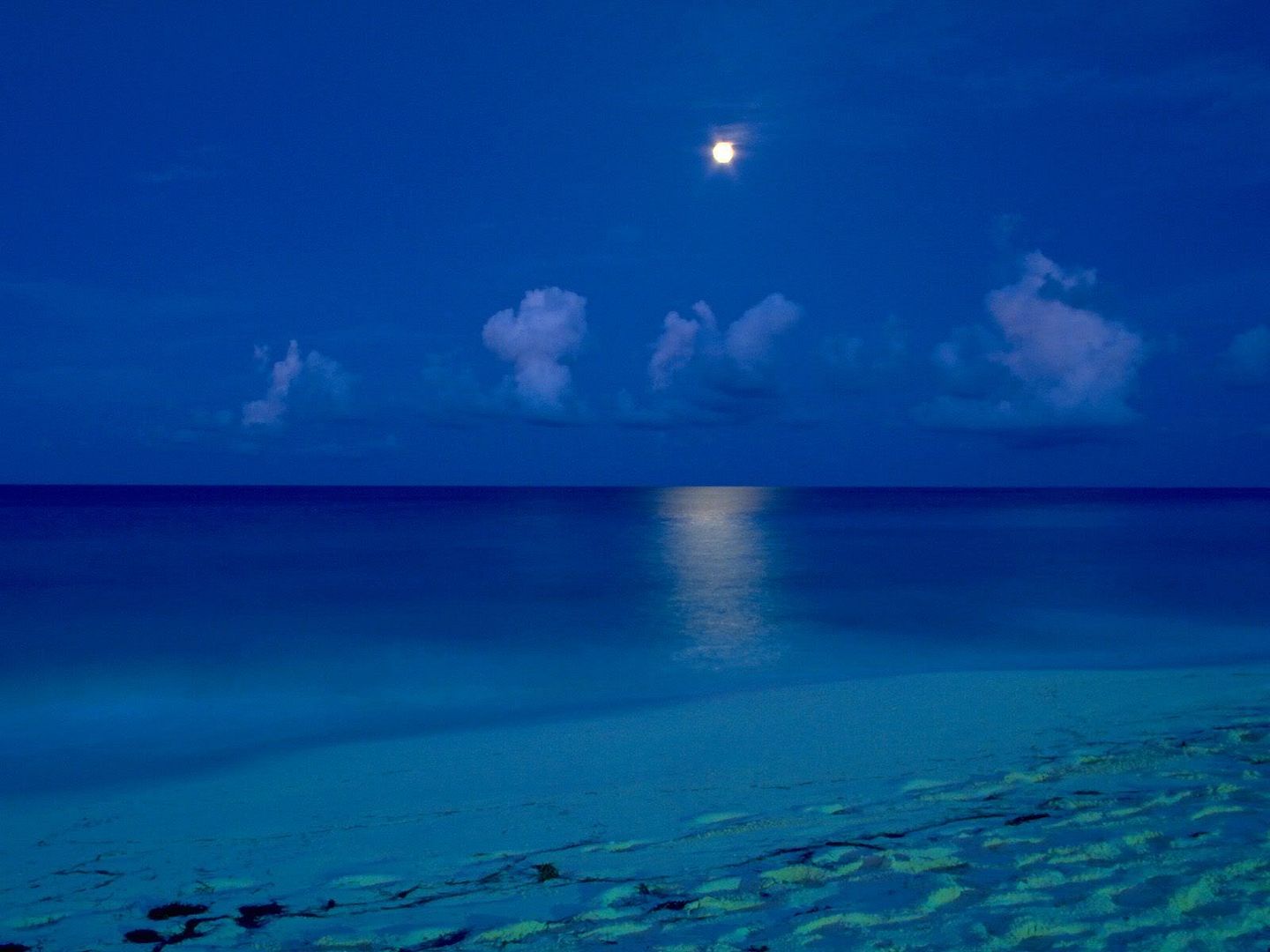 blue_18227.jpg