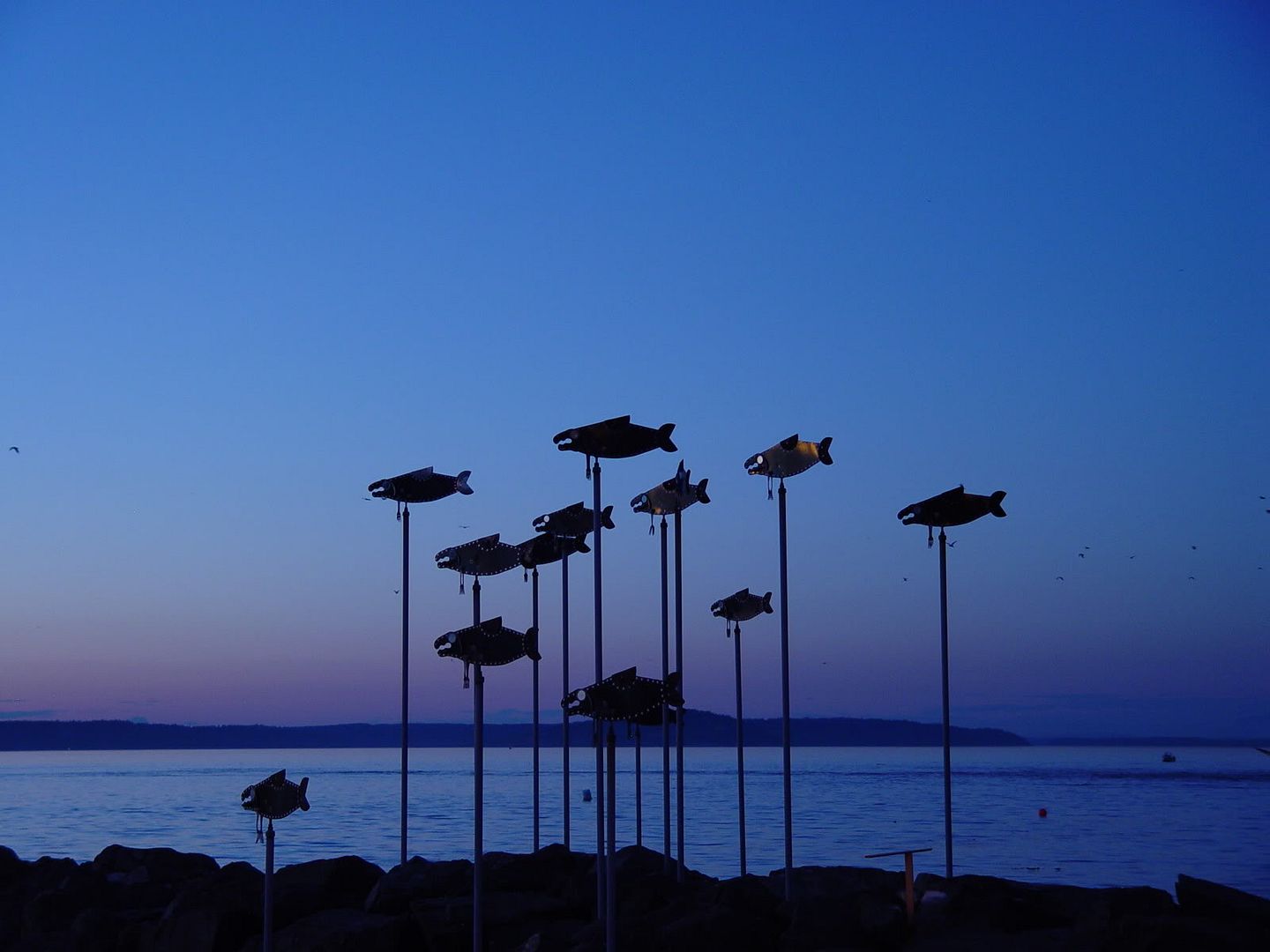 blue_18245.jpg