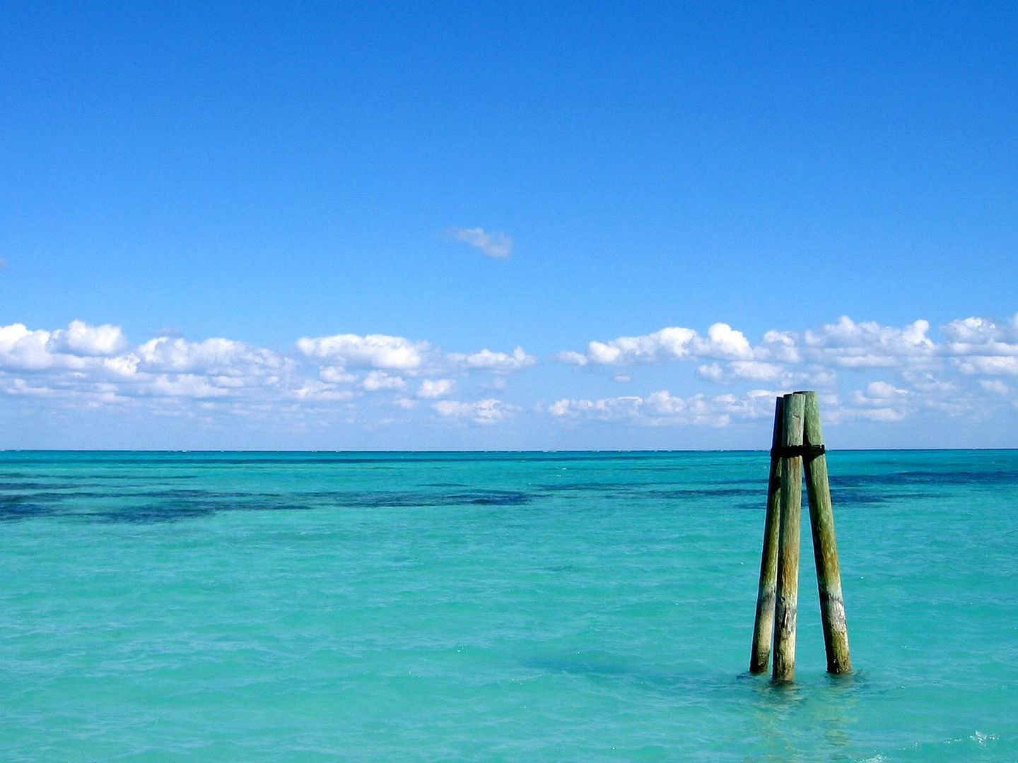 blue_1826.jpg