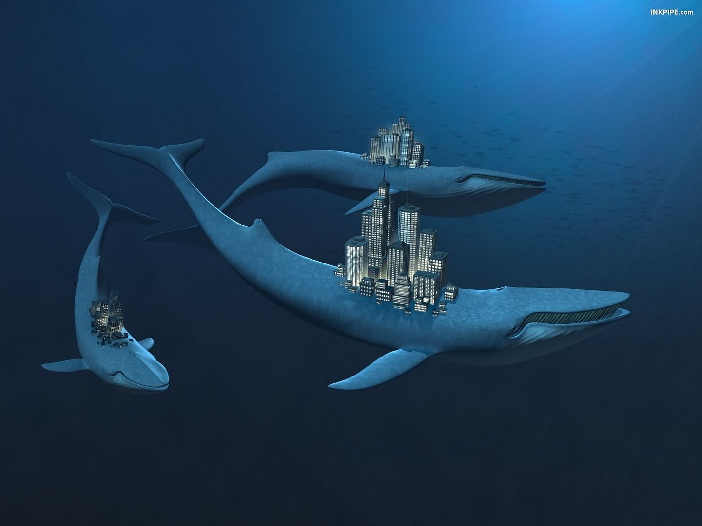 blue_18281.jpg