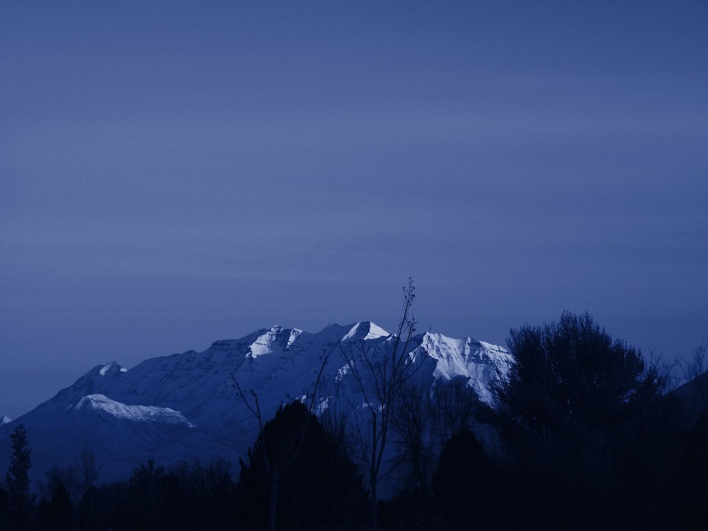 blue_195.jpg