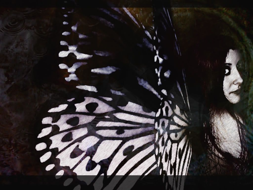 fly_away.jpg