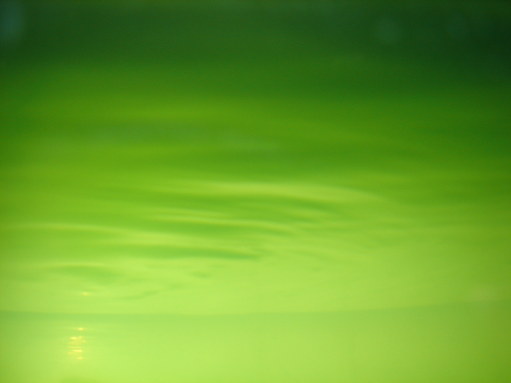 green_wallpapers_e42.png