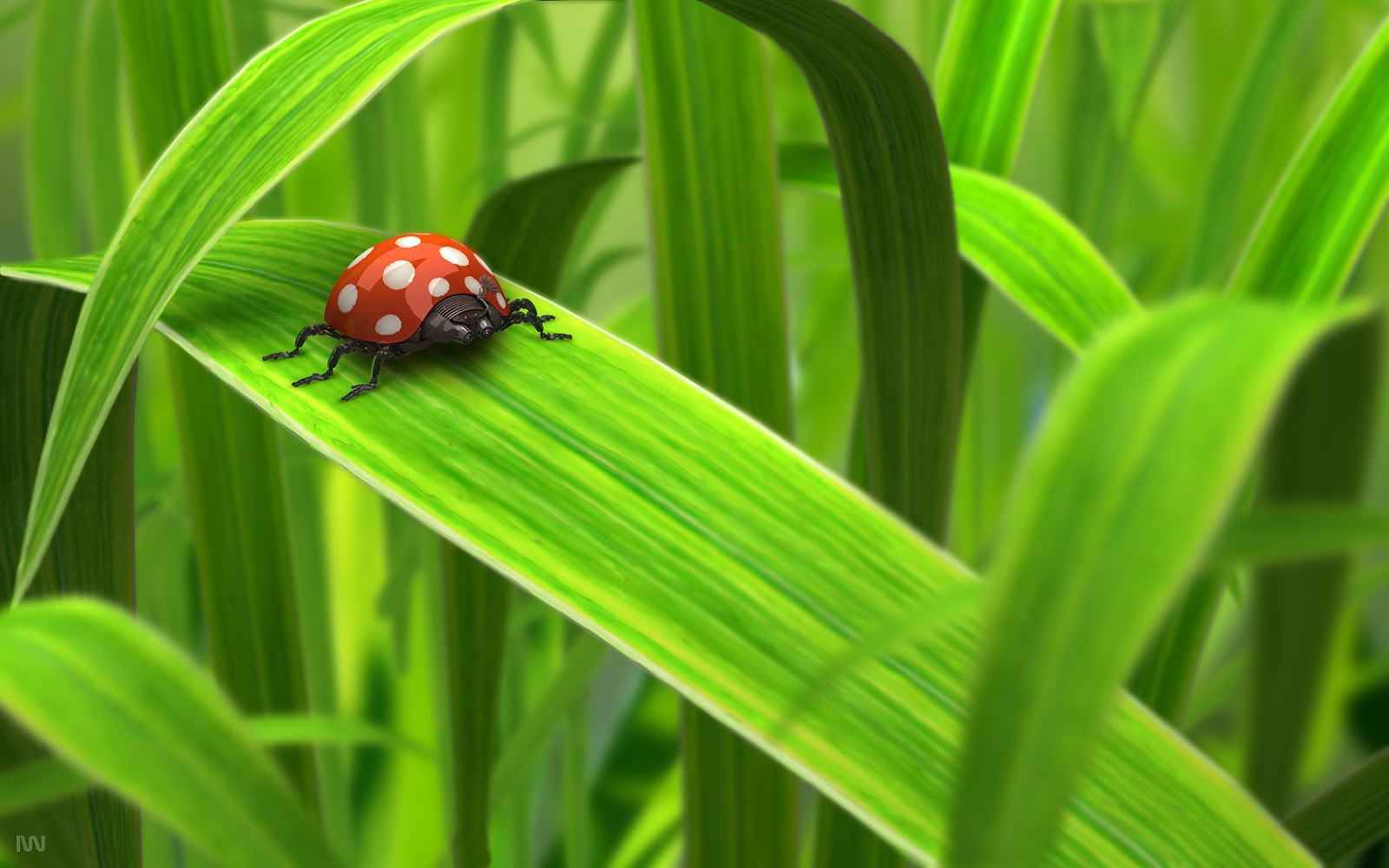 green_wallpapers_e45.jpg
