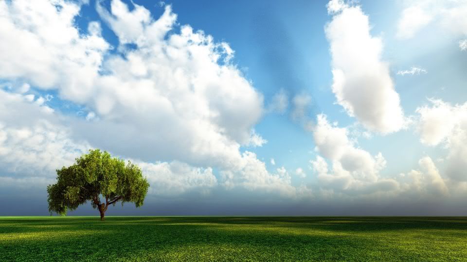 hdwallpapers.jpg