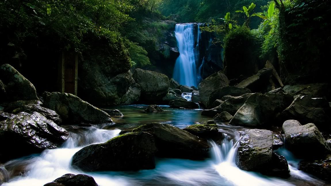 hdwallpapers1.jpg