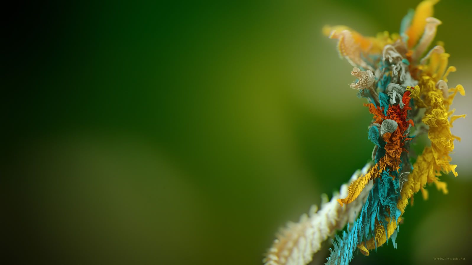 hdwallpapers11.jpg