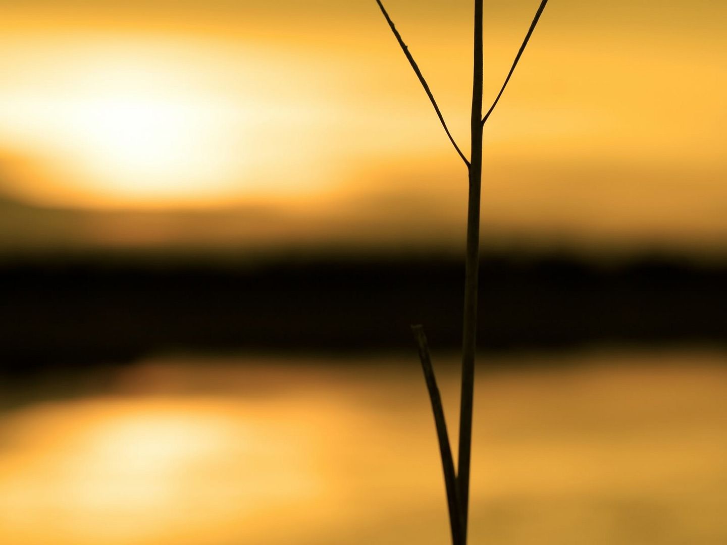hdwallpapers13.jpg