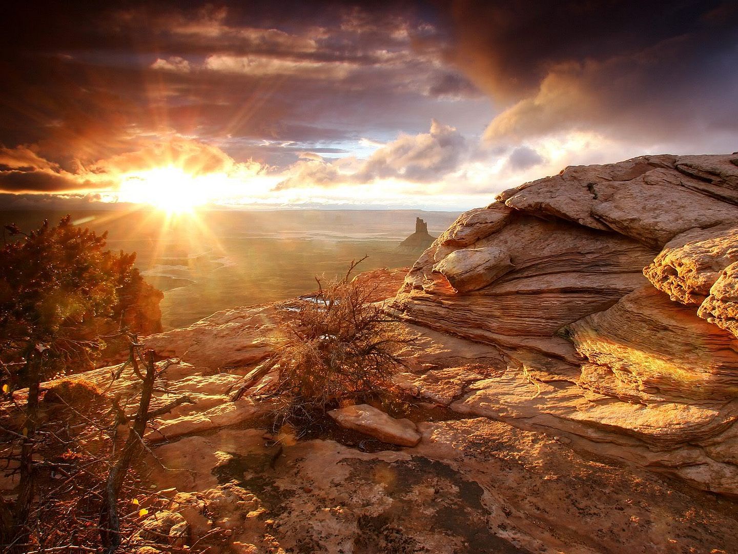 hdwallpapers14.jpg