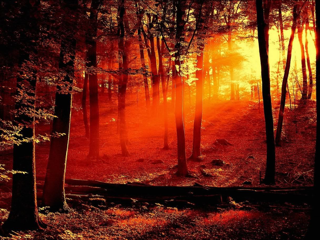 hdwallpapers20.jpg