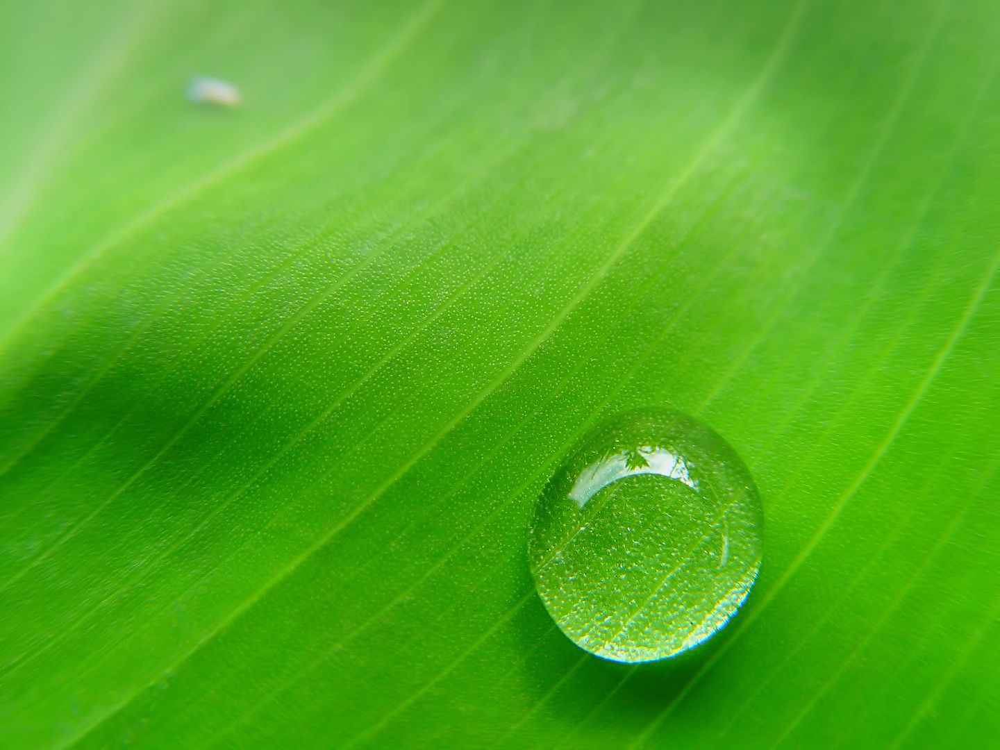 hdwallpapers23.jpg
