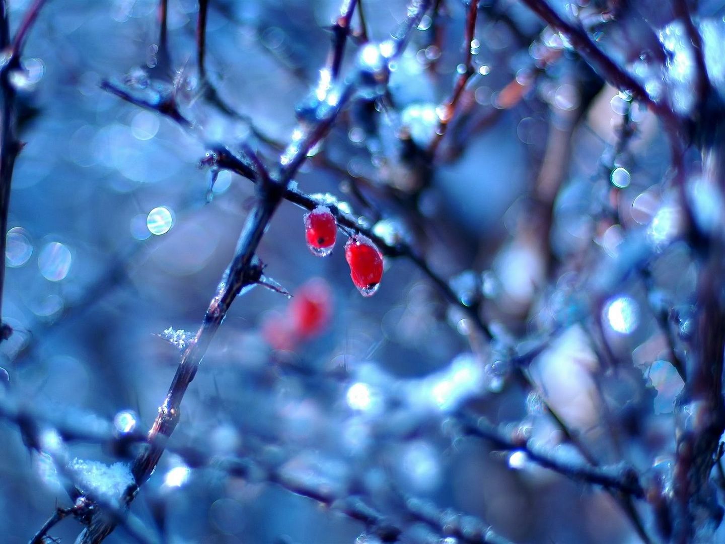 hdwallpapers24.jpg