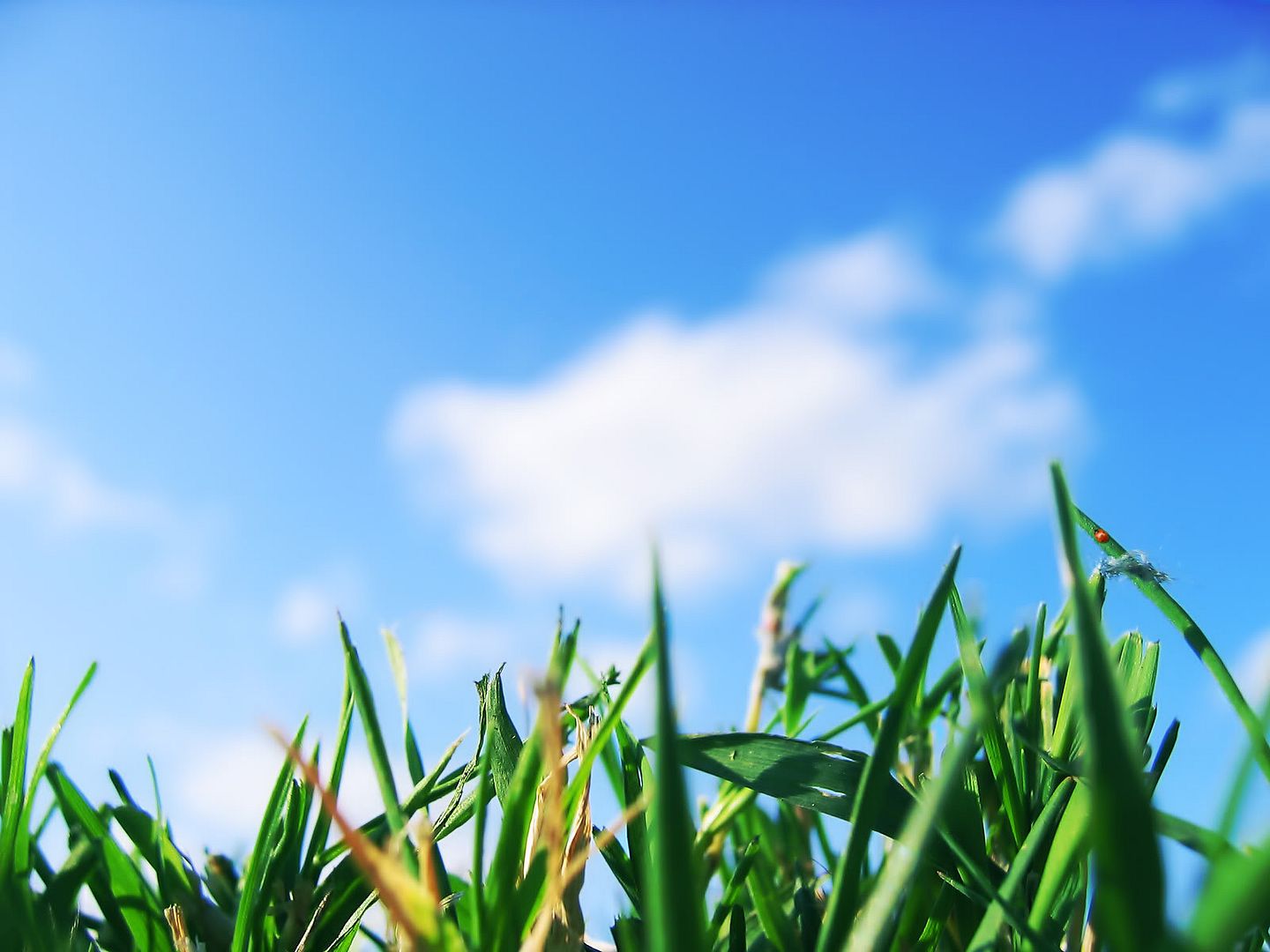 hdwallpapers30.jpg