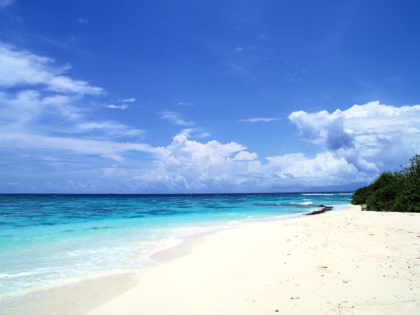 hdwallpapers33.jpg