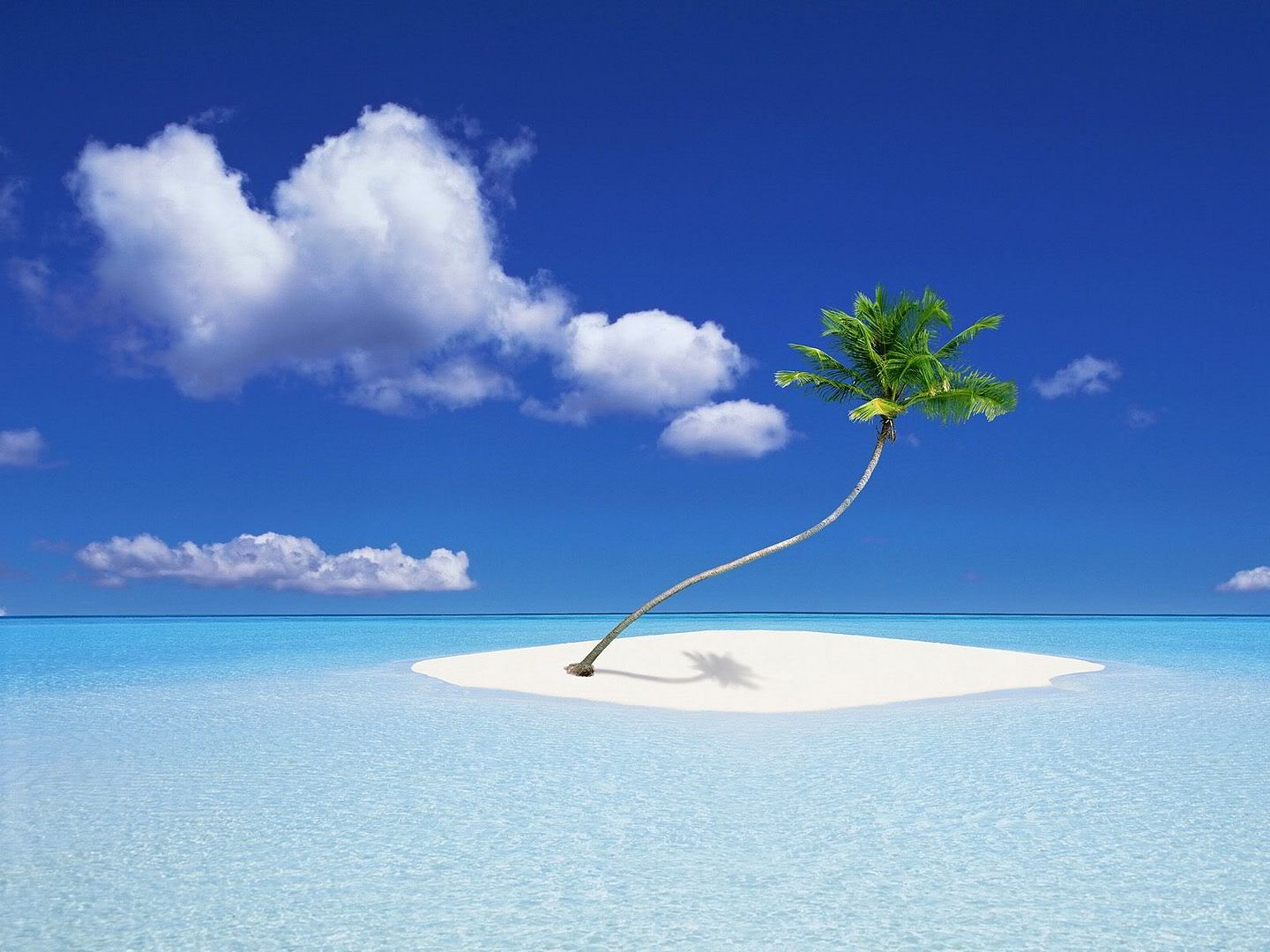 hdwallpapers36.jpg