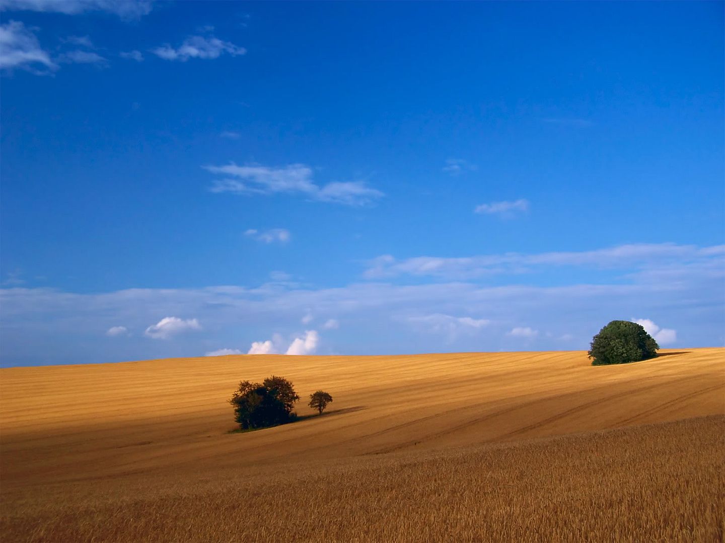 hdwallpapers39.jpg