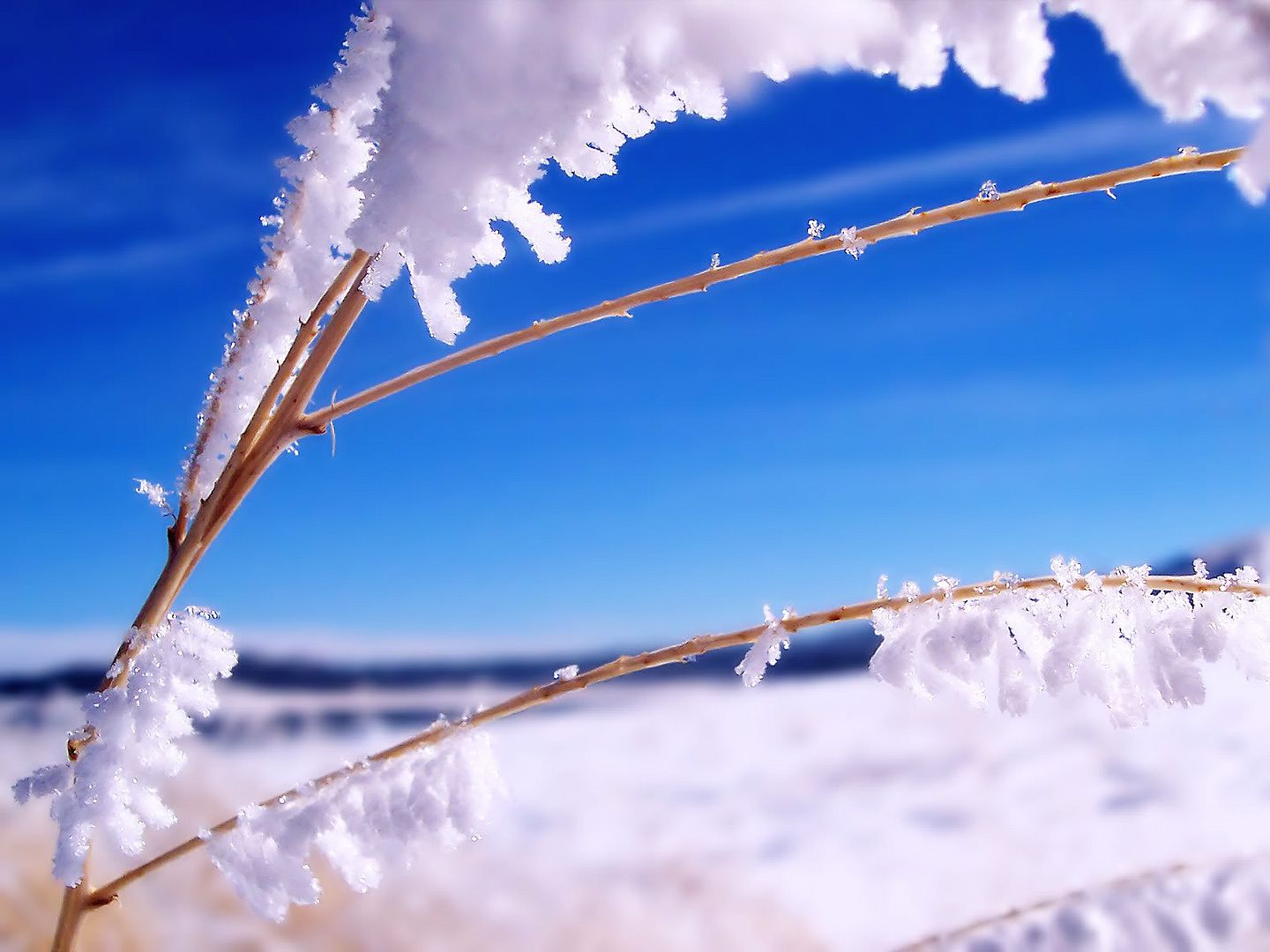 hdwallpapers40.jpg