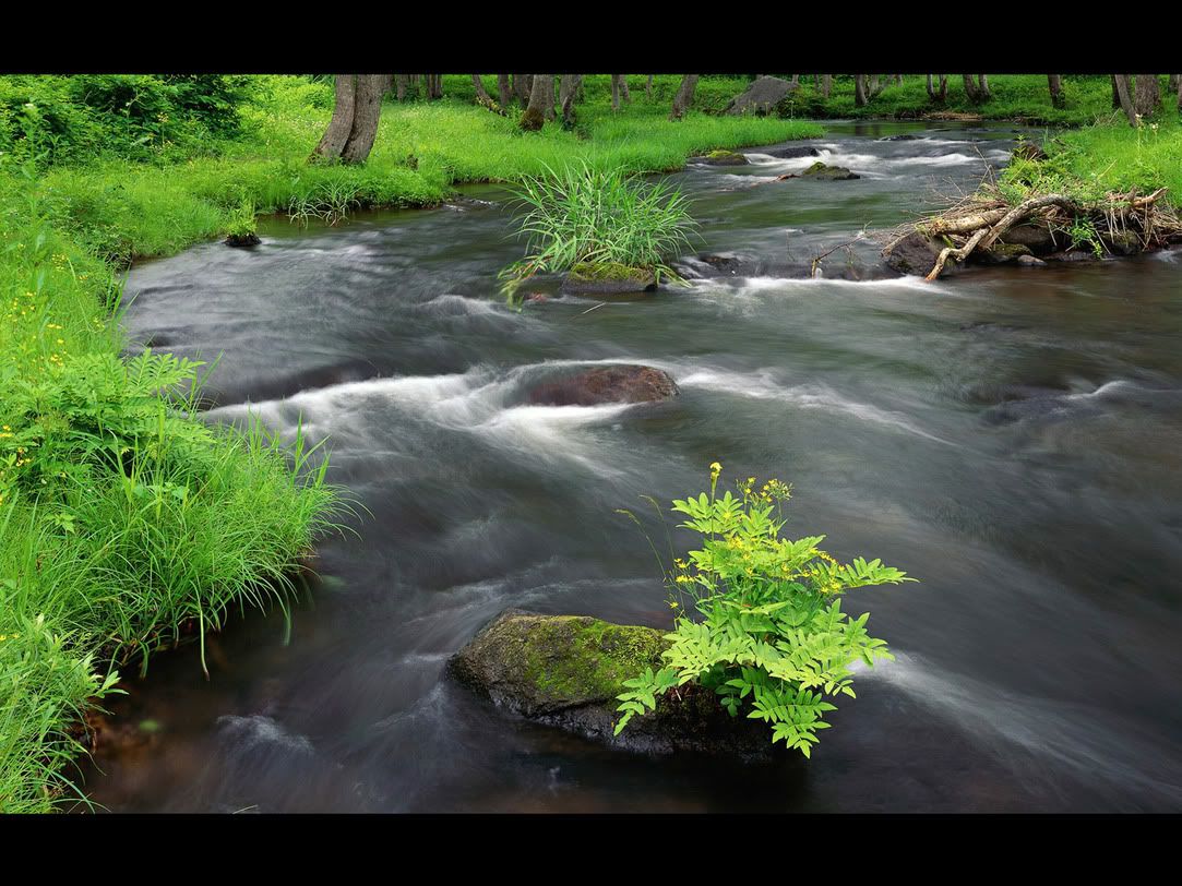 hdwallpapers45.jpg