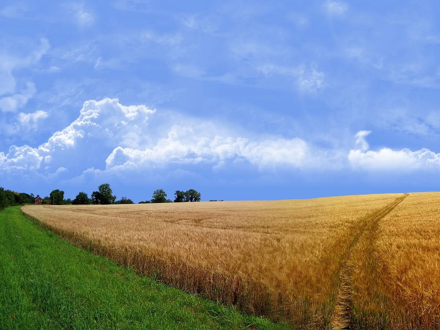 hdwallpapers46.jpg