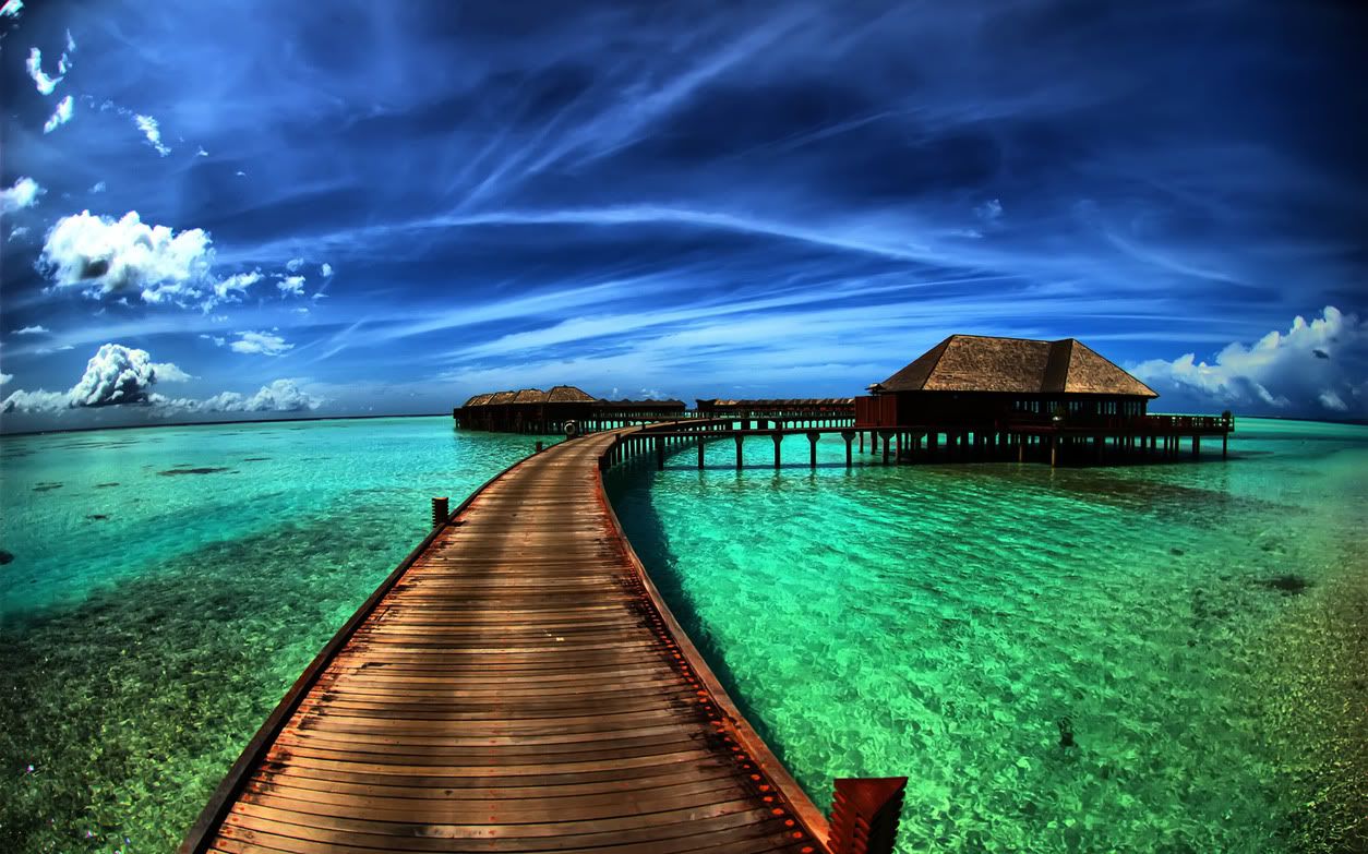 hdwallpapers50.jpg