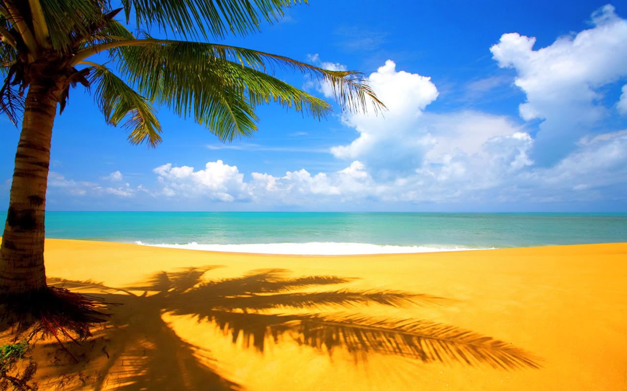 hdwallpapers6.jpg
