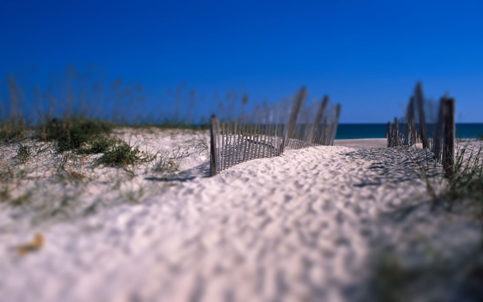 wallp_2560x1600_105.jpg