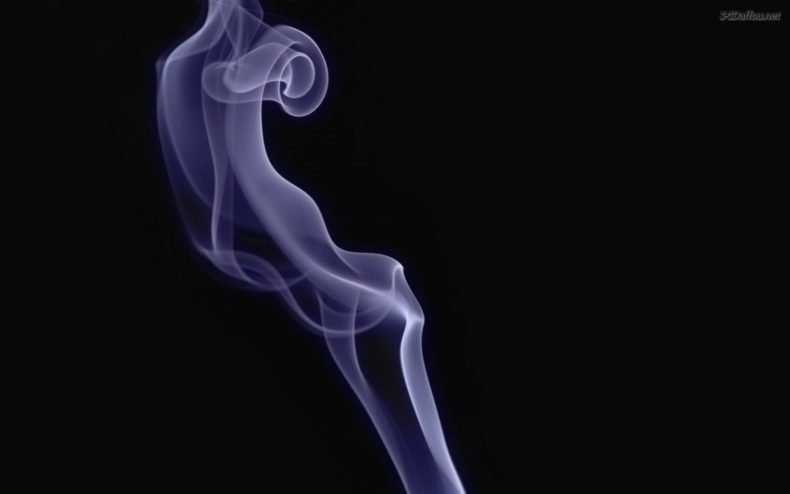 wallp_2560x1600_84.jpg