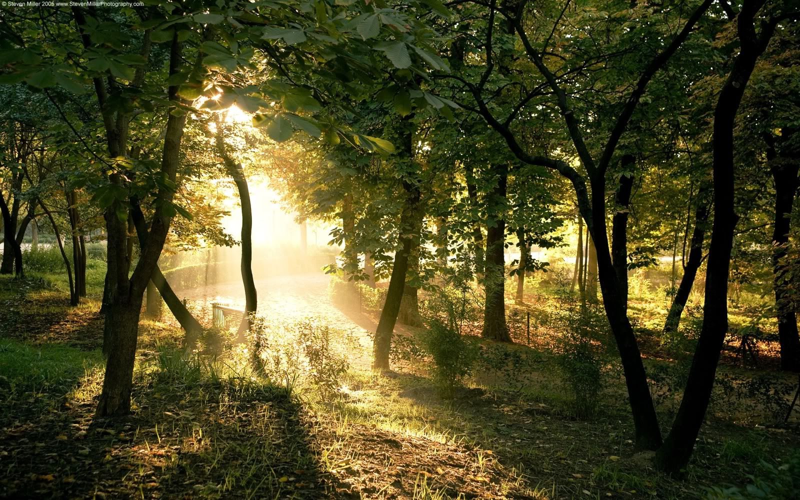 wallp_2560x1600_95.jpg