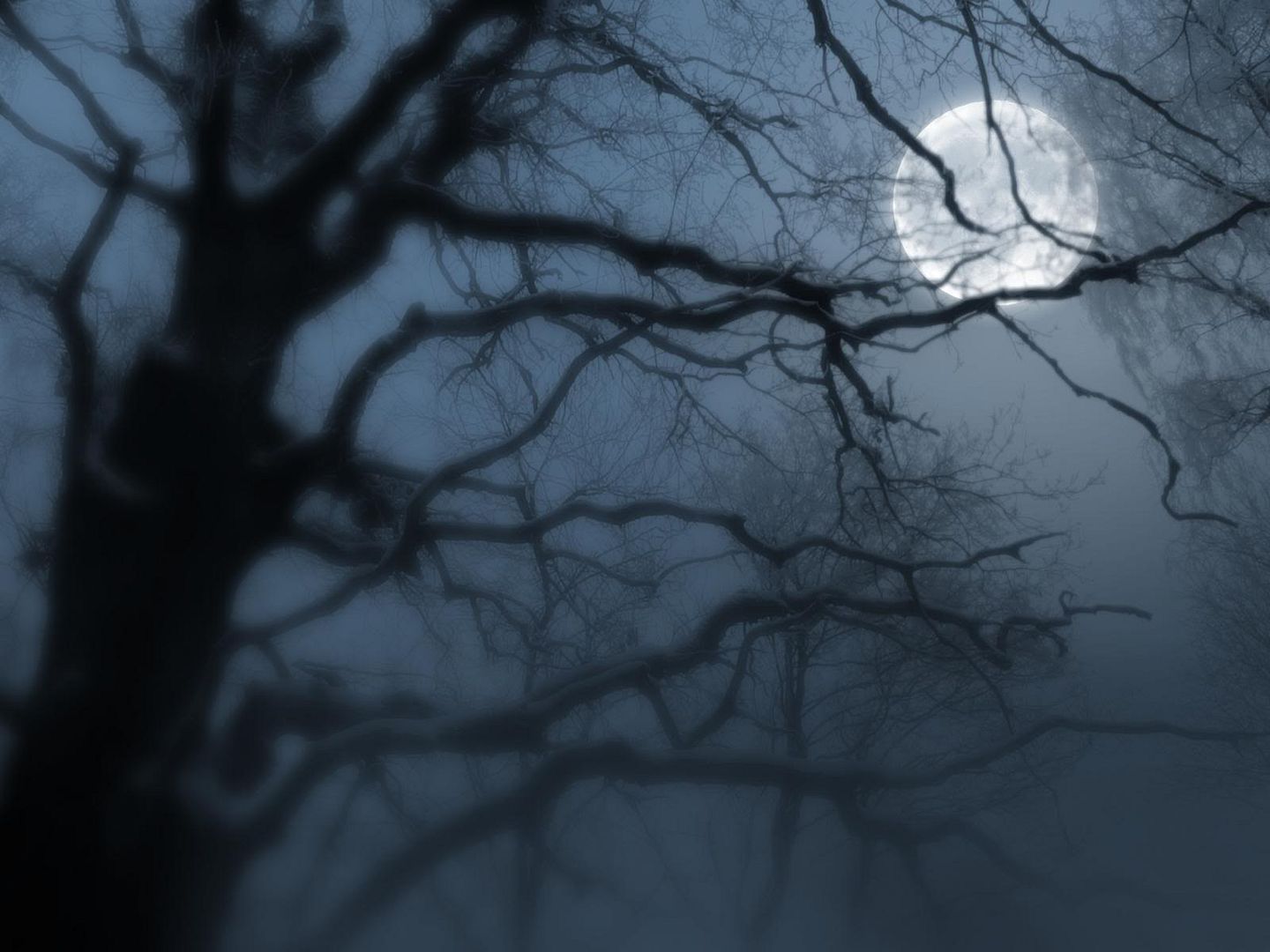 wallpaper66.jpg